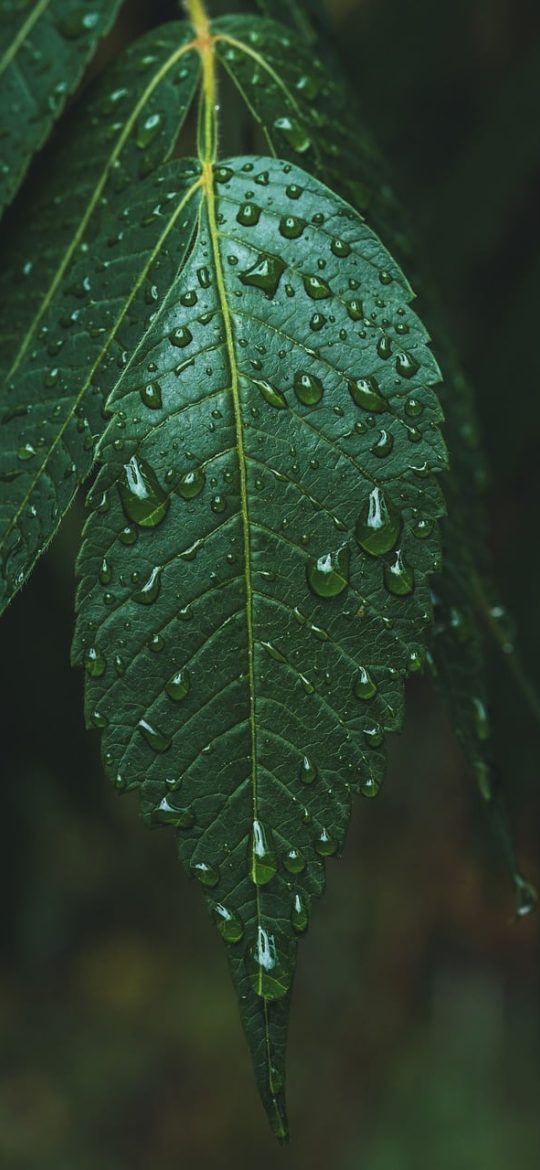 快穿h App 首页界面，深色背景上排列着多个单元卡片，每张卡片标注世界观标签与完成度进度条